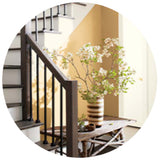 Interior Paint