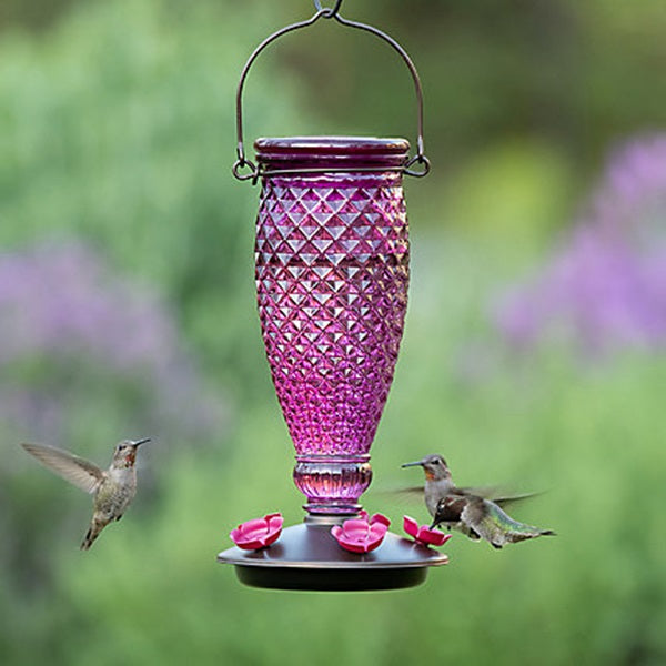 Perky-Pet Hummingbird Feeder Diamond 24 oz Nectar 5-Port/Perch Glass/Plastic Wine 10-1/2 in H