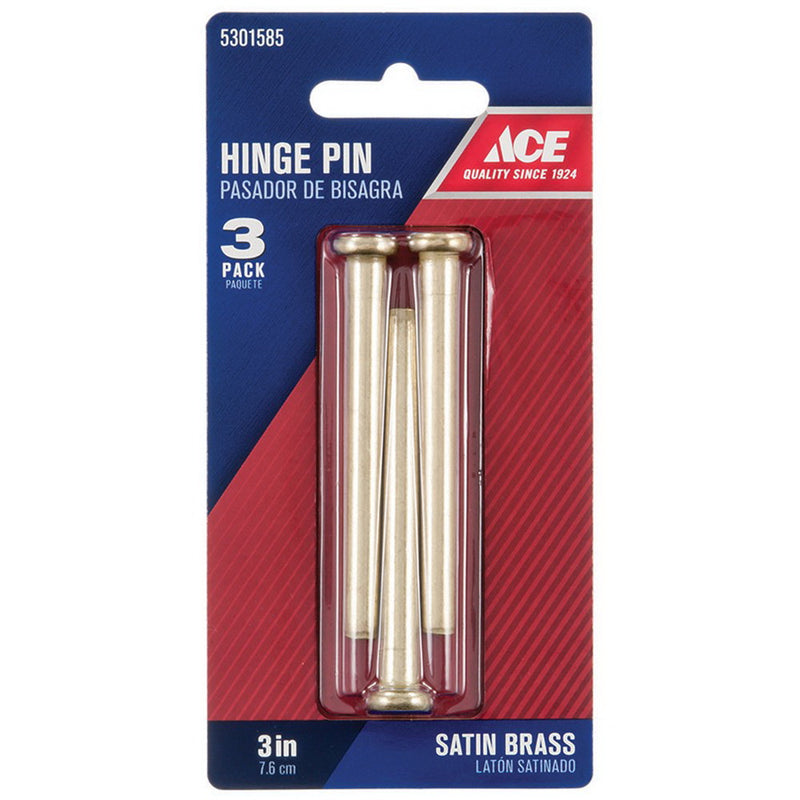 ACE Hinge Pin 3 in L Brass Satin