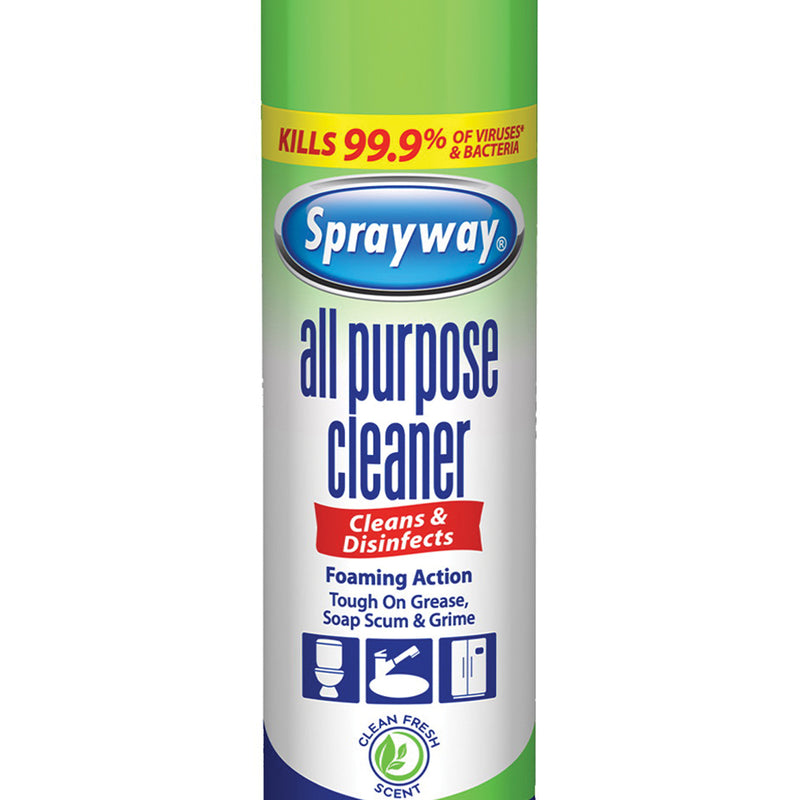 Sprayway All-Purpose Cleaner 19 oz Aerosol Can Gas