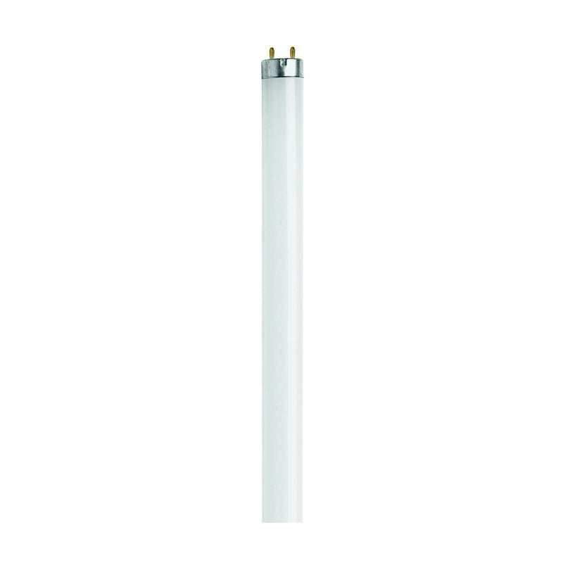 Feit Electric Fluorescent Lamp 20 W T12 Lamp Medium G13 Lamp Base 1200 Lumens 4100 K Color Temp